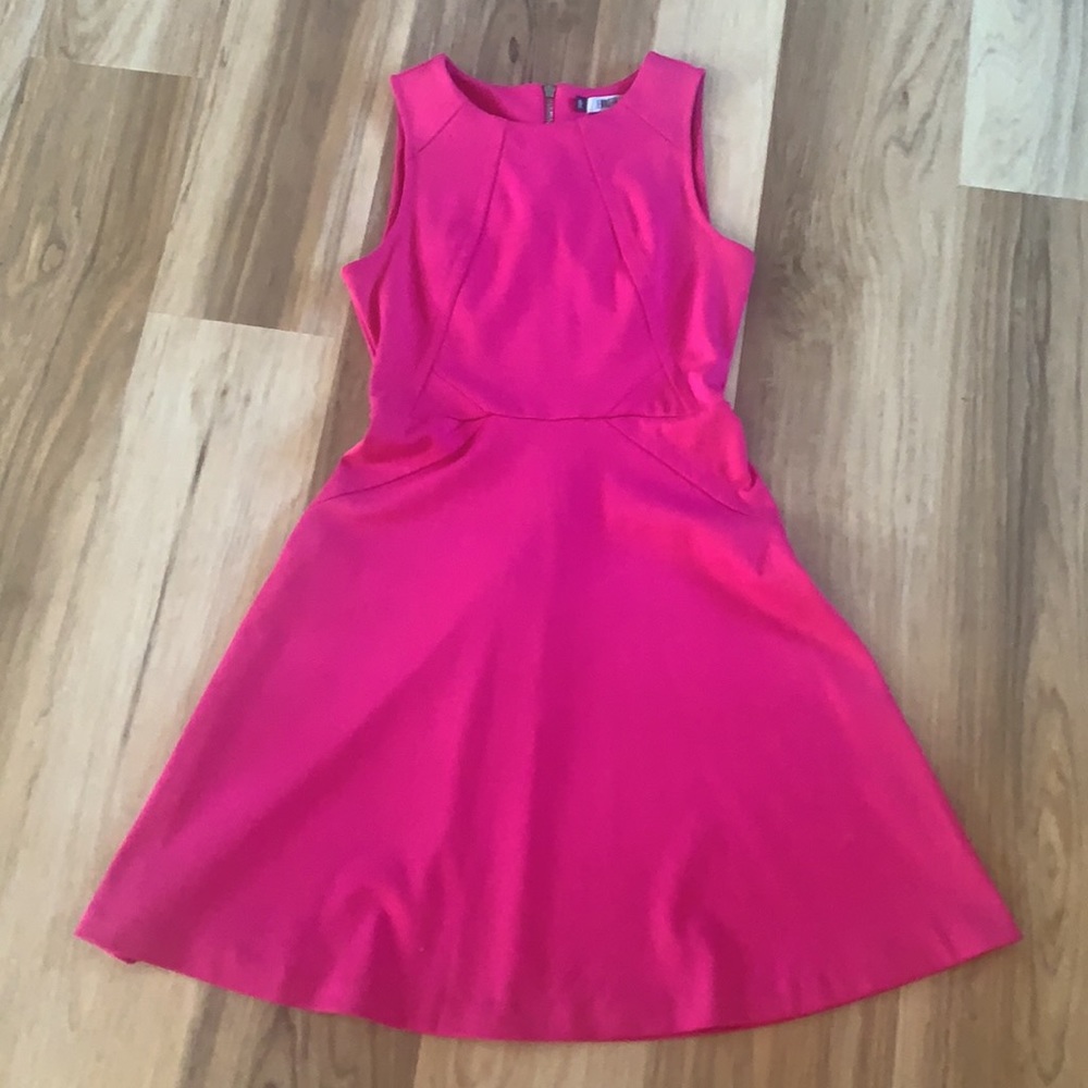 Barbie Pink Body-con Fit and Flare dress